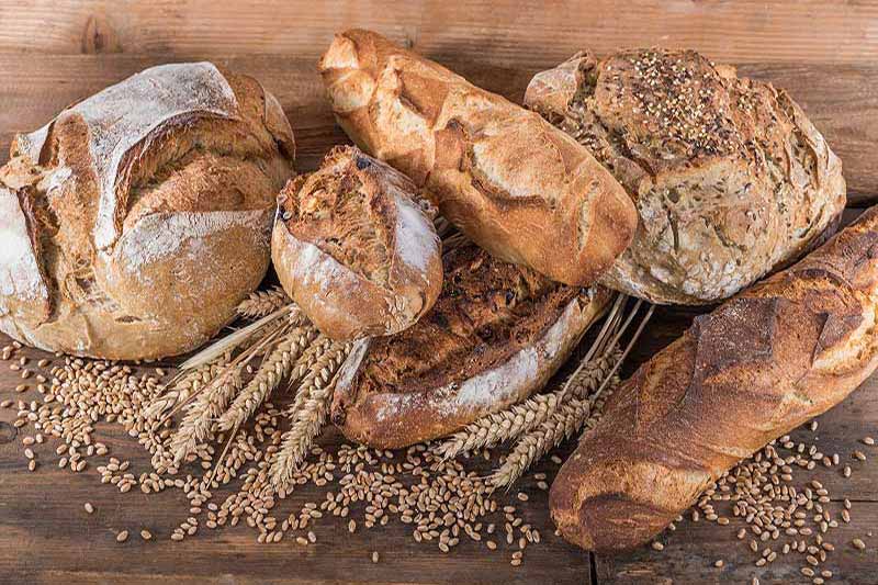 Les pains artisanaux et leurs croûtes dorées